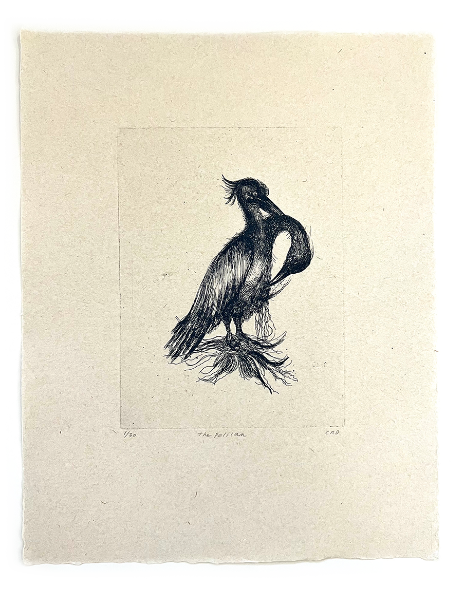 Etching (Pelican)