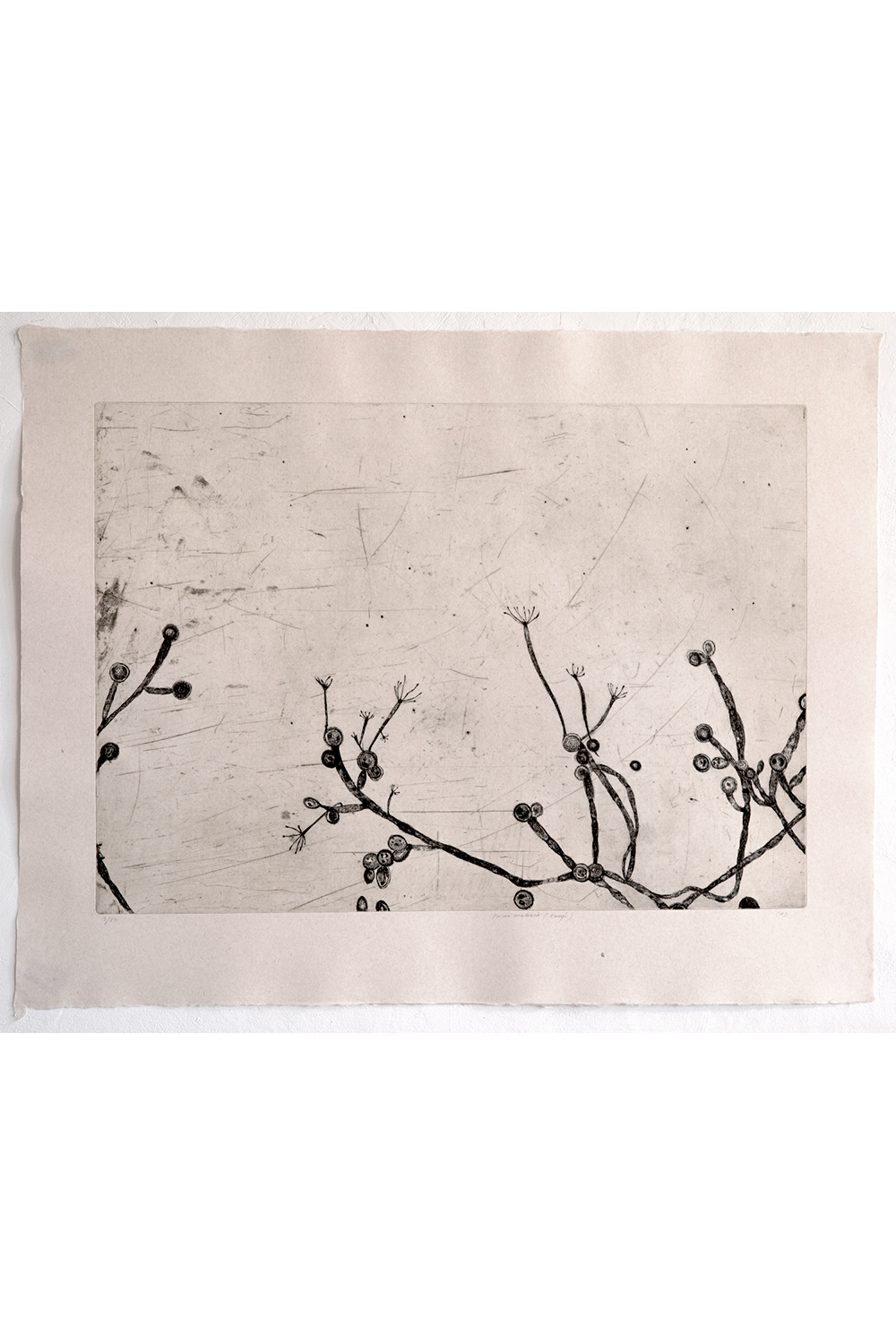 Etching