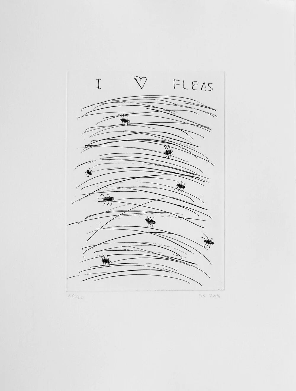 Etching (I love fleas)