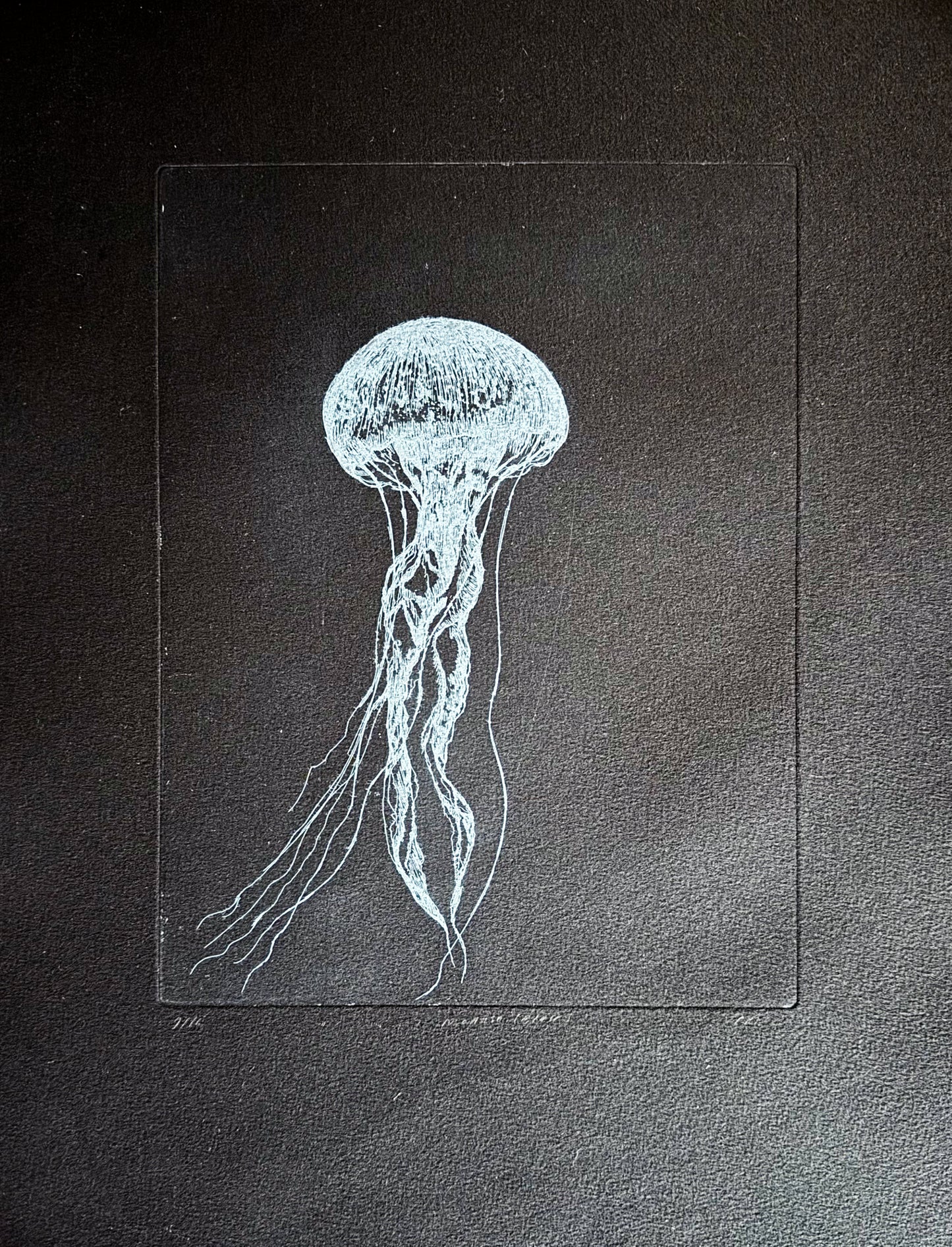 Etching (Medusa)