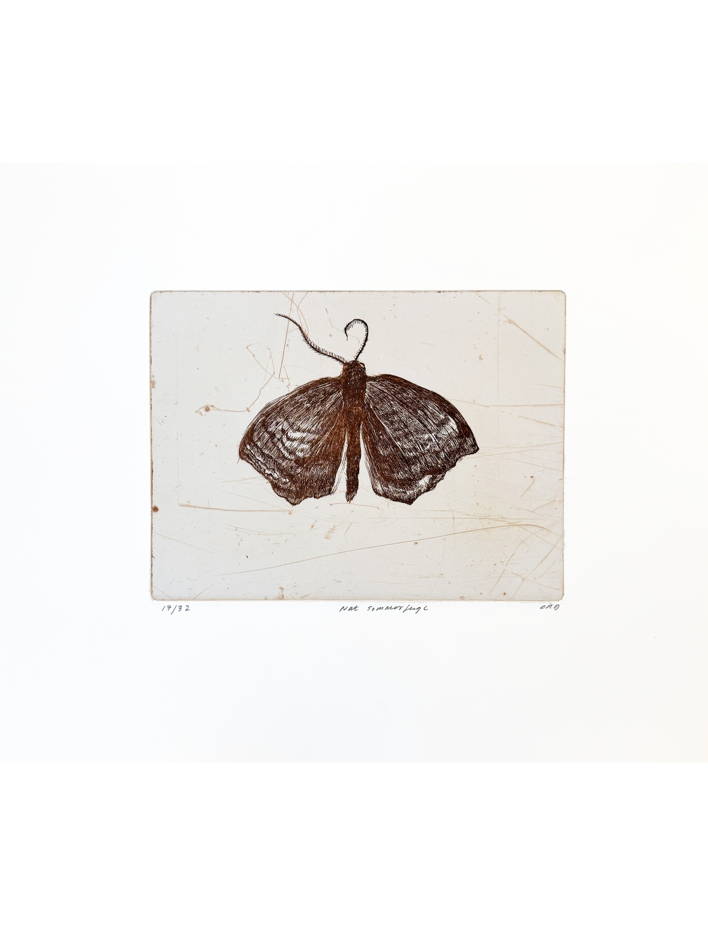 Etching (Nat sommerfugl)