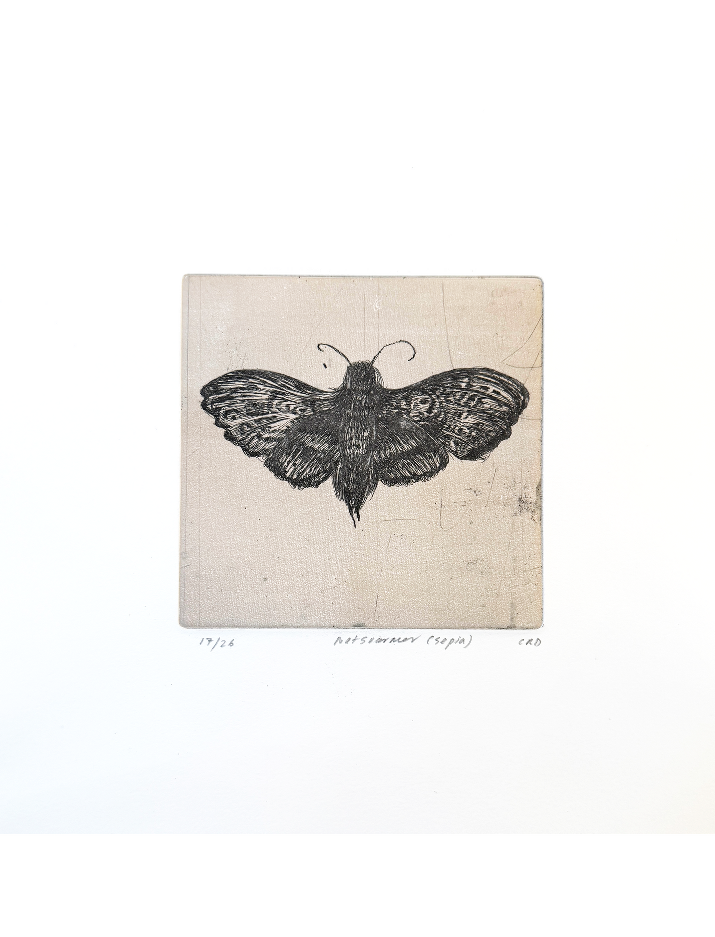 Etching (Natsværmer sepia)