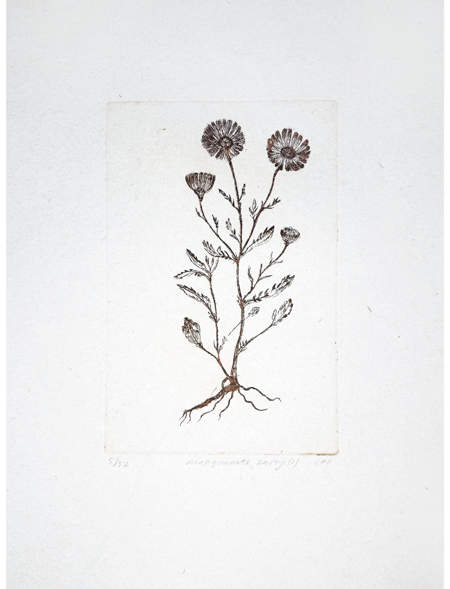 Etching