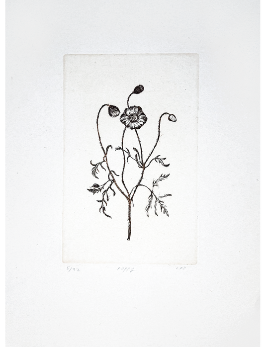 Etching (Poppy)