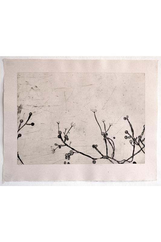 Etching