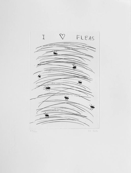 Etching (I love fleas)