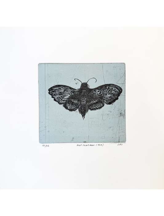 Etching (Natsværmer blå)