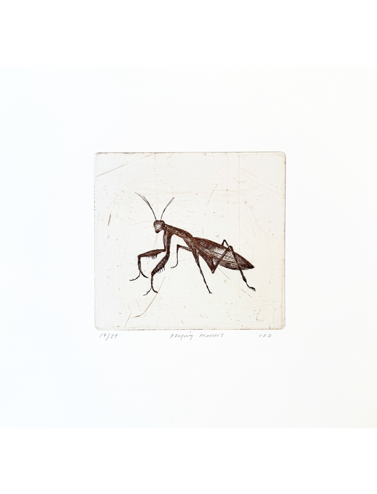 Etching (Praying Mantis)