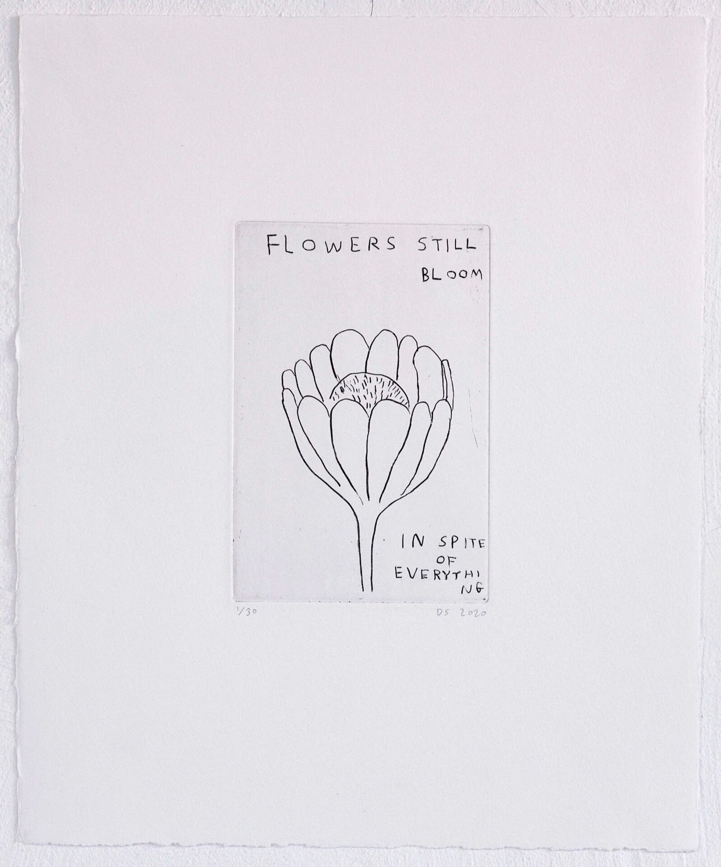 Etching (FLOWERS STILL BLOOM...)