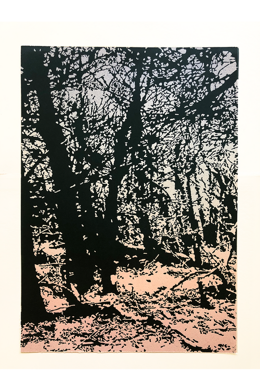 Linocut on airbrushed paper